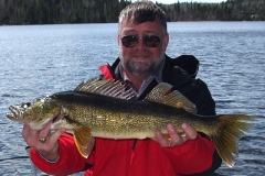 SteveTaylor26walleye