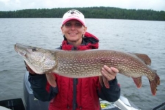 Kristy 41inch Northern