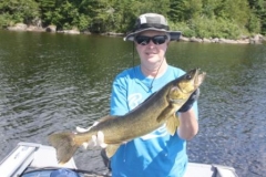 ann 27 walleye