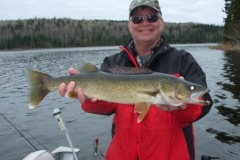 steve26walleye