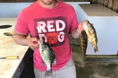 Nate Vannarom 12" Crappie and Perch