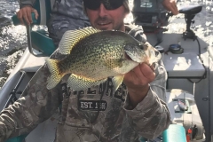 Clinton Beavers 13" Crappie