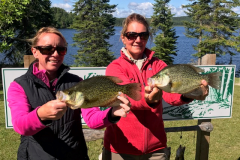 Sara Gallery 13" Crappie and Aimee Traugh 14.5" Crappie Augst 87th