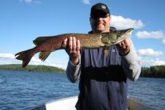 Matt Jennings 32.5" Northern Released August 1st