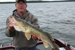 Allyn Harms 29.75" Walleye Released August 21st