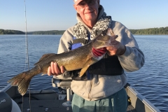 Sid Hancock 29.25" Walleye Released July 23rd