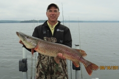 Marty Neihouser 38.5" Northern Released Aug 16th