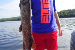 Logan Kleinschmidt 31.5" Northern Released August 3rd