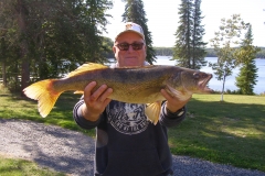 Dave Kohrt 28" Walleye Mounted