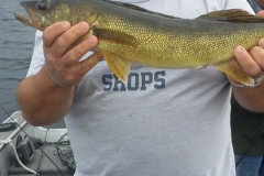 Ryan Behnke 24" Walleye Released July 22