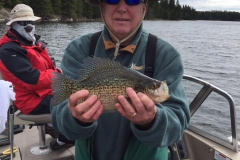 Greg Schaller Nice Crappie