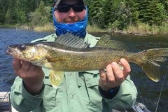 Jordon Hansen 21" Walleye released June 16th