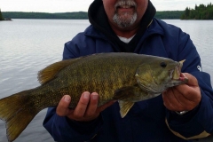 Mark Nihoris Smallmouth Bass