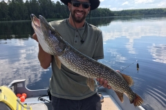Ted Gerber 37" Northern Released