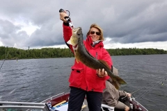 Terri Roose 28.5" Walleye Released August 23rd