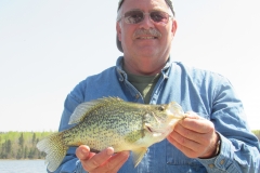 Steve Taylor 12" Crappie