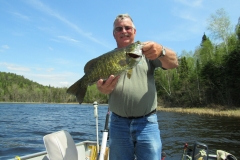Steve Taylor 20" Smallmouth Bass Released