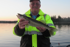 Steve Taylor 20" Walleye Released