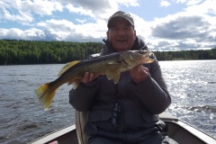 Ron Phippen Walleye