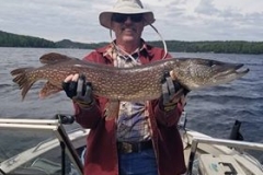 Gary Liesse Nice Northern Released