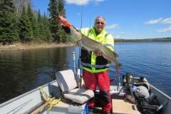 Steve Taylor 37" Northern Released