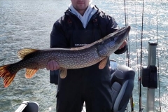 Ben Finfrock 38" Northern Released