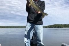 Rob Roose Walleye Released