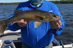 Jordan Hansen Walleye Released