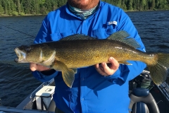 Jordan Hansen Walleye Released