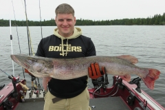 Evan Neihouser 43" Northern Released