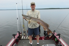 Marty Neihouser 42.5" Northern Released