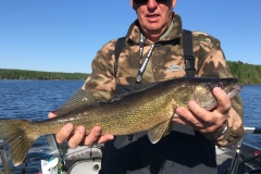 Marty Bramer Walleye Released