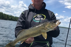 Mike Lammers Walleye Released