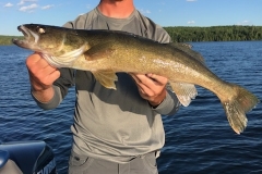 Reid Lammers Walleye Released