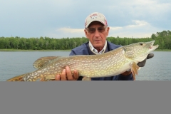 Glen Grooter 34" Northern Released July 30th