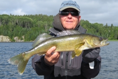 Ron Peterson 27" Walleye Released July 31st