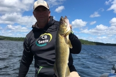 Mike Lammers Walleye Released