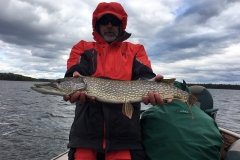 Scott Sorenson Nice Northern Released