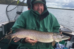 Bob Friendshuh Nice Northern Released