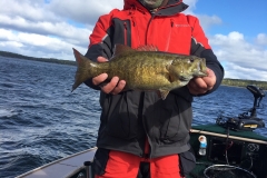 Scott Sorenson Smallmouth Bass Released