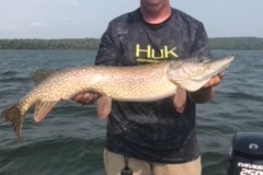 Mike Lammers 38" Northern Released 8/13