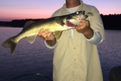 Mike Lammers 25" Walleye Releasec 8/15