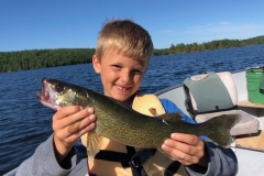 Bodie Inselman Walleye