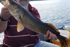 Randy Cook 28 3/4" Walleye Released