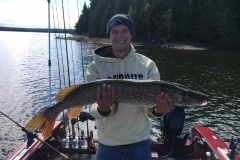 Seth Neihouser 36" Northern Released