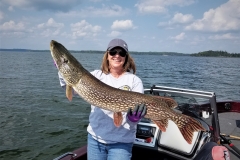 Terri Roose 42" Northern Released 8/22