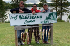 Steve Young, Larry Jaske, Bill Hyde