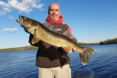 Neal Kolb 26" Walleye Released