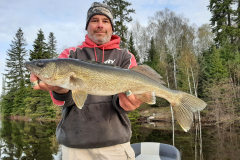 Neal Kolb 25" Walleye Released